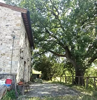 Foto annuncio 6