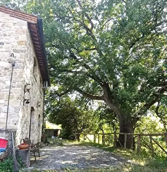 Foto annuncio 4