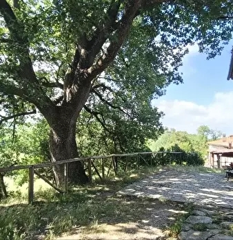 Foto annuncio 22