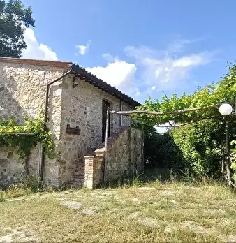 Foto annuncio 26
