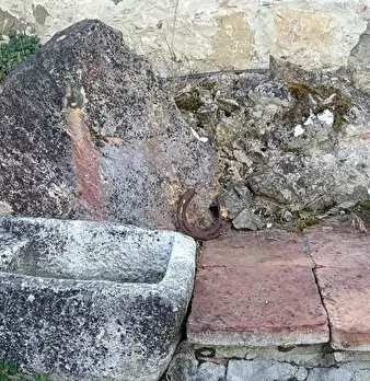 Foto annuncio 20