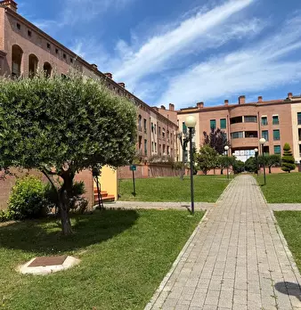 Foto annuncio 35