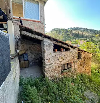 Foto annuncio 50