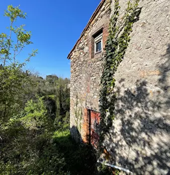 Foto annuncio 55
