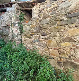 Foto annuncio 56