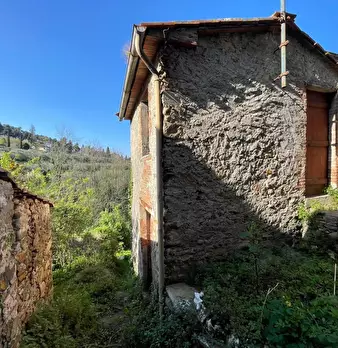 Foto annuncio 60