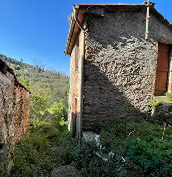 Foto annuncio 61