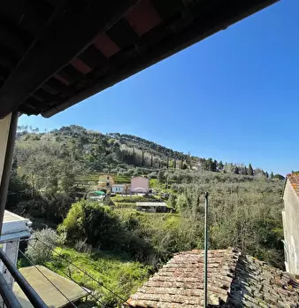Foto annuncio 24