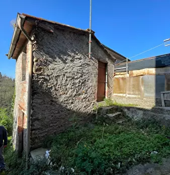 Foto annuncio 52