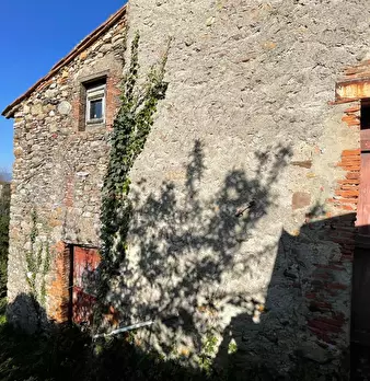 Foto annuncio 58