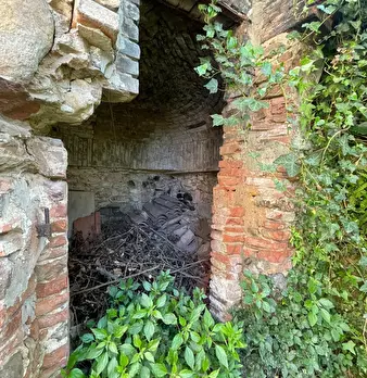 Foto annuncio 57