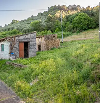 Foto annuncio 4