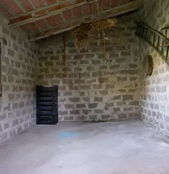 Foto annuncio 11