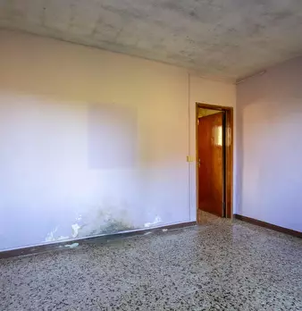 Foto annuncio 24