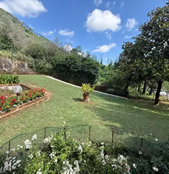 Foto annuncio 7