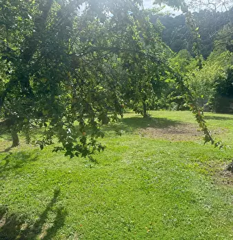 Foto annuncio 19