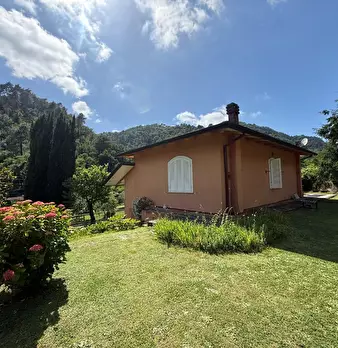 Foto annuncio 11
