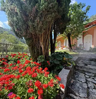 Foto annuncio 6