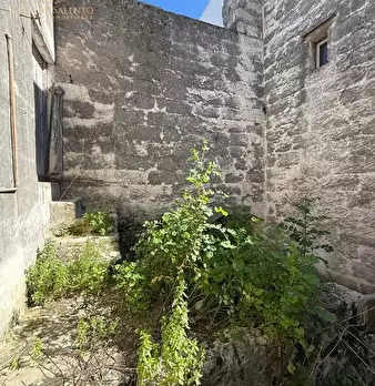 Foto annuncio 12