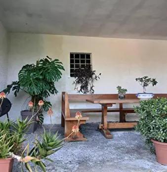 Foto annuncio 7