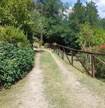 Foto annuncio 2