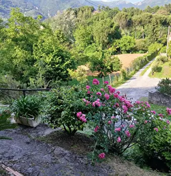 Foto annuncio 18