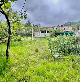 Foto annuncio 37