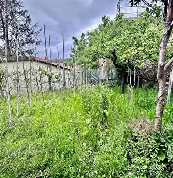 Foto annuncio 38