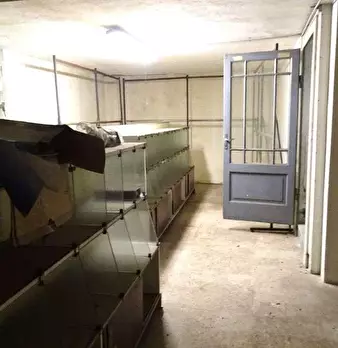 Foto annuncio 35
