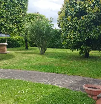 Foto annuncio 15