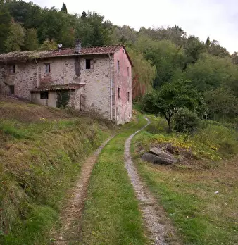Foto annuncio 10