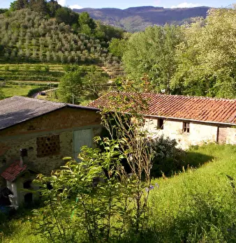 Foto annuncio 4