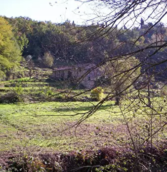 Foto annuncio 3