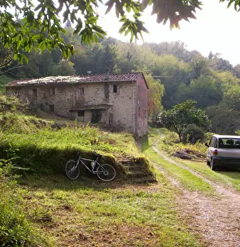 Foto annuncio 5