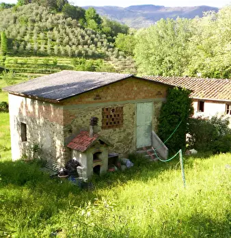 Foto annuncio 7