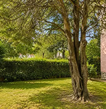 Foto annuncio 30