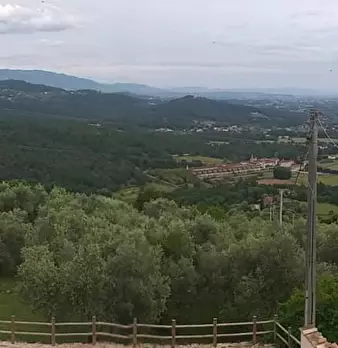 Foto annuncio 66