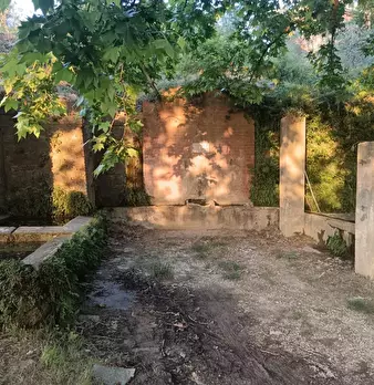 Foto annuncio 5