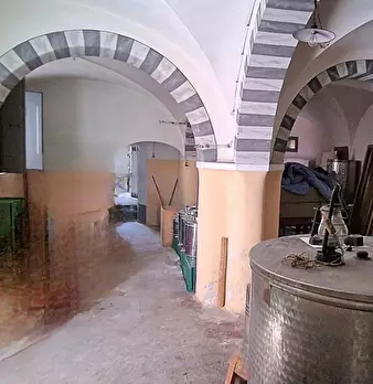 Foto annuncio 22