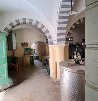 Foto annuncio 17