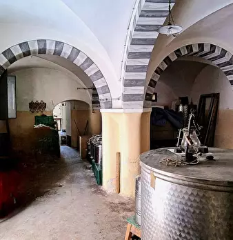 Foto annuncio 27