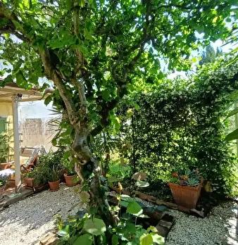 Foto annuncio 38