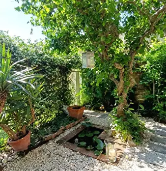 Foto annuncio 37