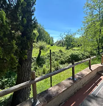 Foto annuncio 6