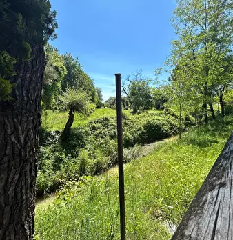 Foto annuncio 11
