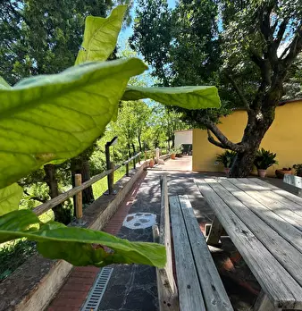 Foto annuncio 10