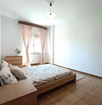 Foto annuncio 26