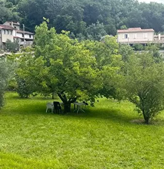 Foto annuncio 5