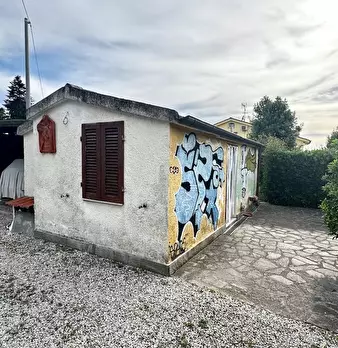 Foto annuncio 40