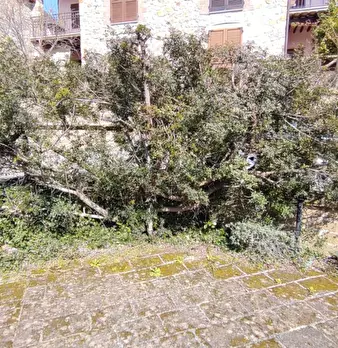 Foto annuncio 13